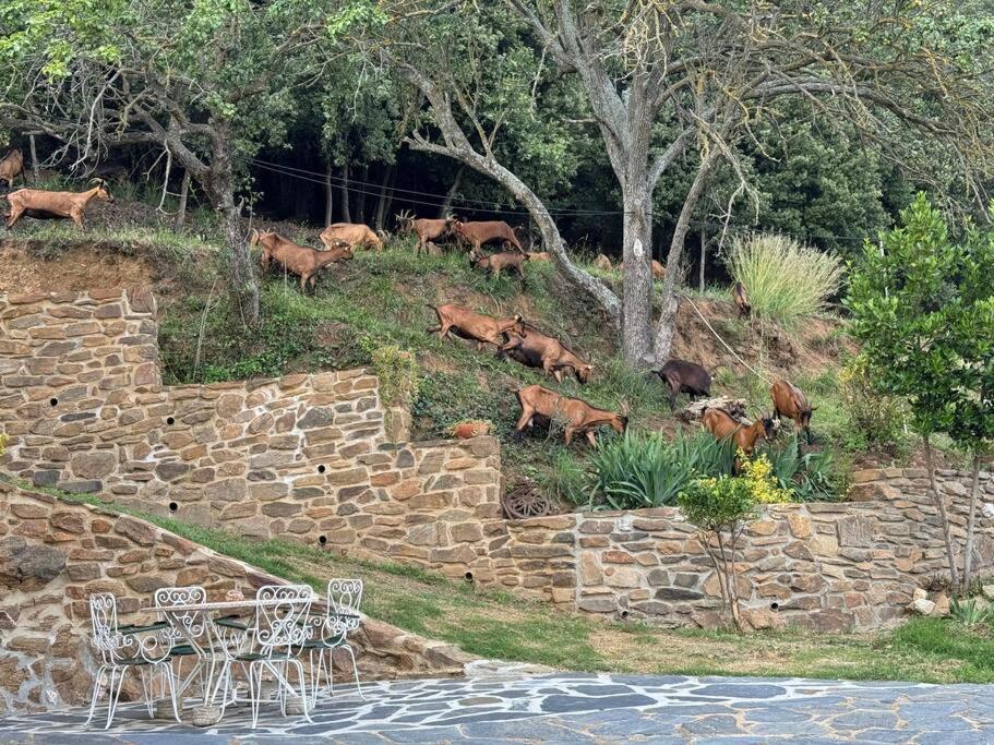 Cal Pages Holiday home Montseny